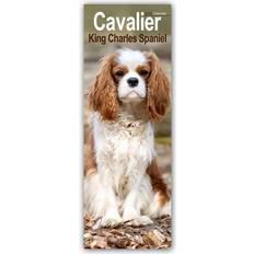 Office Supplies Cavalier King Charles Spaniels 2025