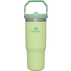 Stanley iceflow Stanley Classic IceFlow Flip Straw Taza de viaje 89cl