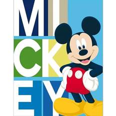 Disney mouse Blankets