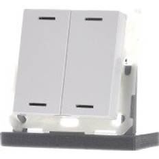 BE-TAL5502.01 Taster Light 55 2-Fach RGBW