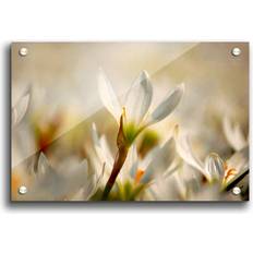 East Urban Home Snow Drops in Bloom Flowers Photograph Framed Art