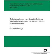 Bøger Bethge, Ekkehart: Risikoberechnung zum Schadstoffeintrag aus Hochwasserretentionsräum (Geheftet)