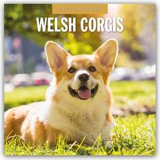 Rot Kalender Welsh Corgis Welsh Corgi 2025 16-Monatskalender