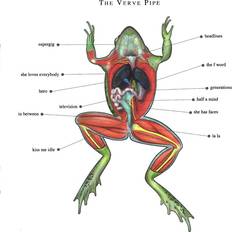 The Verve Pipe The Verve Pipe (CD)