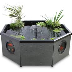 Affinity Grand Octagon Pool