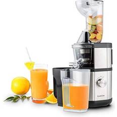 Fruitberry Slow Juicer