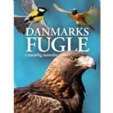 Danmarks fugle i naturlig størrelse Bog, Indbundet, Dansk