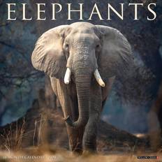 FSC (The Forest Stewardship Council) Calendars Willow Creek Press Elephants 2025 Calendar