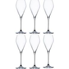 Spiegelau Kökstillbehör Spiegelau Special Glasses Champagneglas 23cl 6st