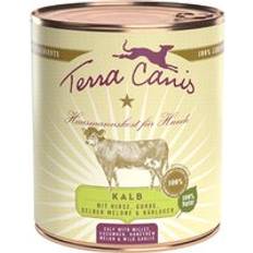 Terra Canis 12 x 800 g - NUOVO Vitello con Miglio