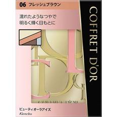 Kanebo Eyeshadow Beauty Aura Eyes 06 - Fresh Brown