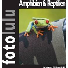 Amphibien & Reptilien