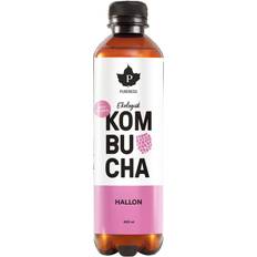 Pureness Organic Kombucha Raspberry 40cl 1pak