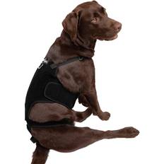 Pets Labra Dog Canine K9 Back Brace