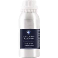 Massage- & Relaxation Products Mystic Moments eucalyptus blue gum essential oil 1kg