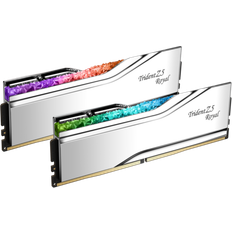 48 GB - 4800 MHz - DDR5 RAM Memory G.Skill Trident Z5 Royal Silver DDR5 8000 MHz 2x24GB (F5-8000J4048F24GX2-TR5S)