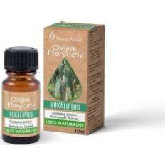 Massage- & Relaxation Products Nord Naturalny Olejek Eteryczny Eukaliptus 10ml