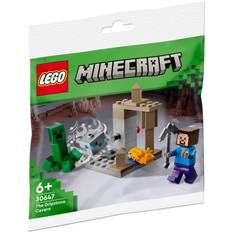 Minecraft Building Games LEGO Minecraft the Dripstone Cavern 30647