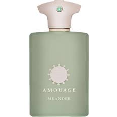 Meander EdP