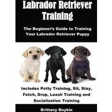 Labrador Retriever Training