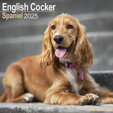 Avonside English Cocker Spaniel Calendar 2025