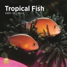 Bright Day Calendars Tropical Fish Calendar 2025