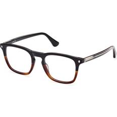 Glasögon & Läsglasögon Web Man WE5386 56 Ramramar Acetat Havana Fyrkantig Normal