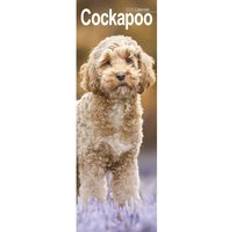 Avonside Cockapoo Slim Calendar 2025