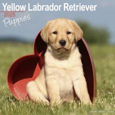 Yellow Calendars Avonside Labrador Retriever Puppies Calendar 2025