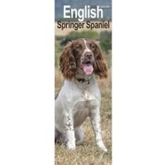 Avonside English Springer Spaniel Slim Calendar 2025