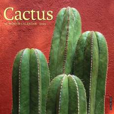 Willow Creek Press Cactus Calendar 2025