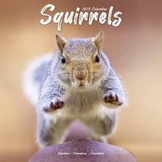 Grey Calendars Avonside Squirrels Calendar 2025