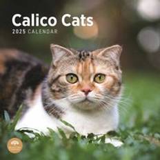 Bright Day Calendars Calico Cats Calendar 2025