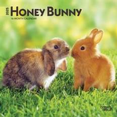 Desk Calendars BrownTrout Honey Bunny Mini Calendar 2025