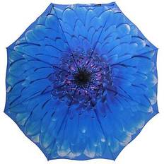 Soake Stormking auto open & close folding umbrella floral collection blue daisy