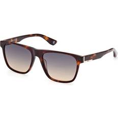 BMW Bw0033 Sunglasses - Brown