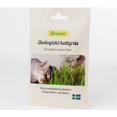 Skånefrö Kattgräs, ekologiskt