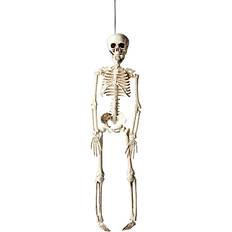 Halloween Skeletter Halloween skelet H: 40 cm hvid