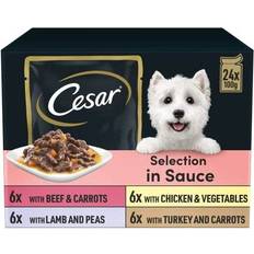 Cesar Selection in Sauce Premium Wet Dog Food