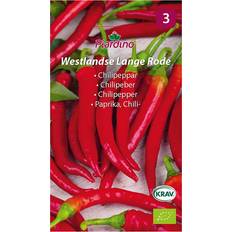 Grönsaksfrö Chilipeppar
