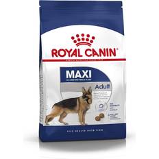 Maxi Adult