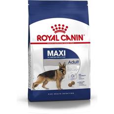 Royal Canin Maxi Adult