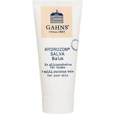 Hydrozon Salva