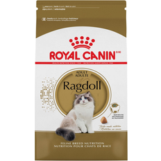 Ragdoll