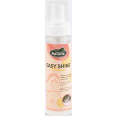 Rengøringsudstyr & -Midler Easy Shine Ravene Mouss 200 ml 201ml