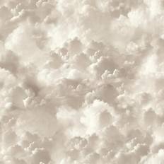 Arthouse vanilla skies neutral wallpaper clouds modern contemporary feature wall