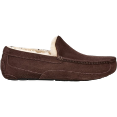 Herren - Wolle Loafers UGG Ascot - Espresso