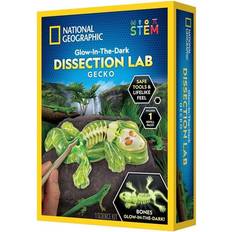 Kirjat National Geographic Gekko Dissektiolabra (Pokkari)