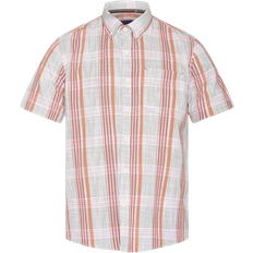 3XL - Kort ærme Skjorter Signal Teis Check Slub Shirt - Sun Baked