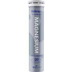 Magnesium Brustabletter 20 Brustabletter
